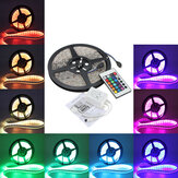 5M 5050 RGB Waterdichte 300 LED Strip Licht DC12V + 24 Sleutel IR Afstandsbediening voor gebruik buitenshuis
