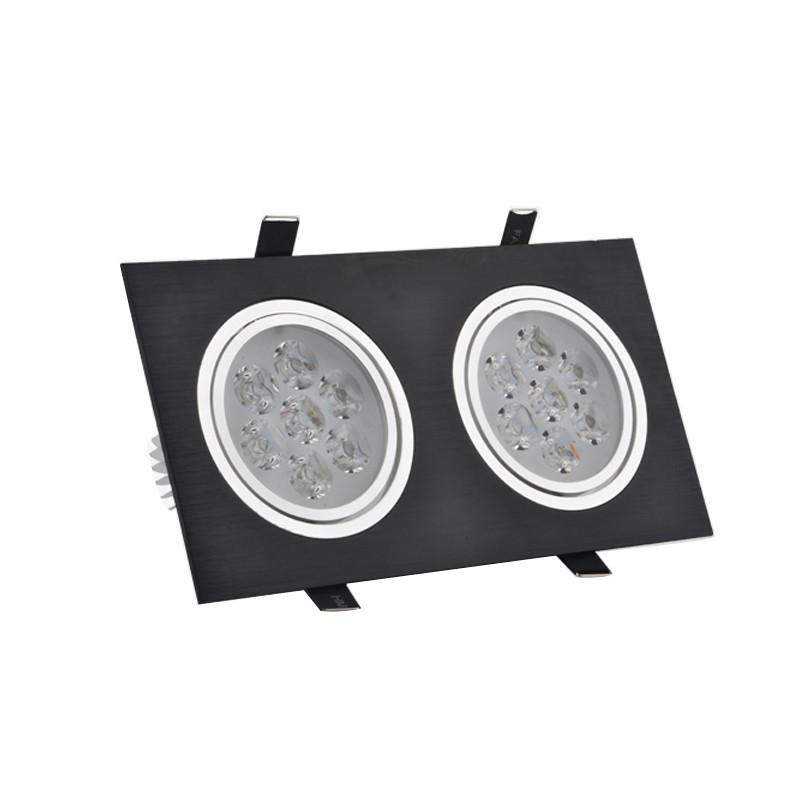 6w 10w 14w 18w 24w 30w 36w Double Heads Black Led Ceiling Recessed