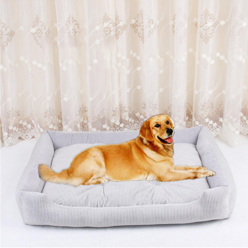 4 Couleurs Crystal Velvet Pet Canapé Lit Chien Chat Lit De Couchage Chenil Pour Chiens De Taille Moyenne