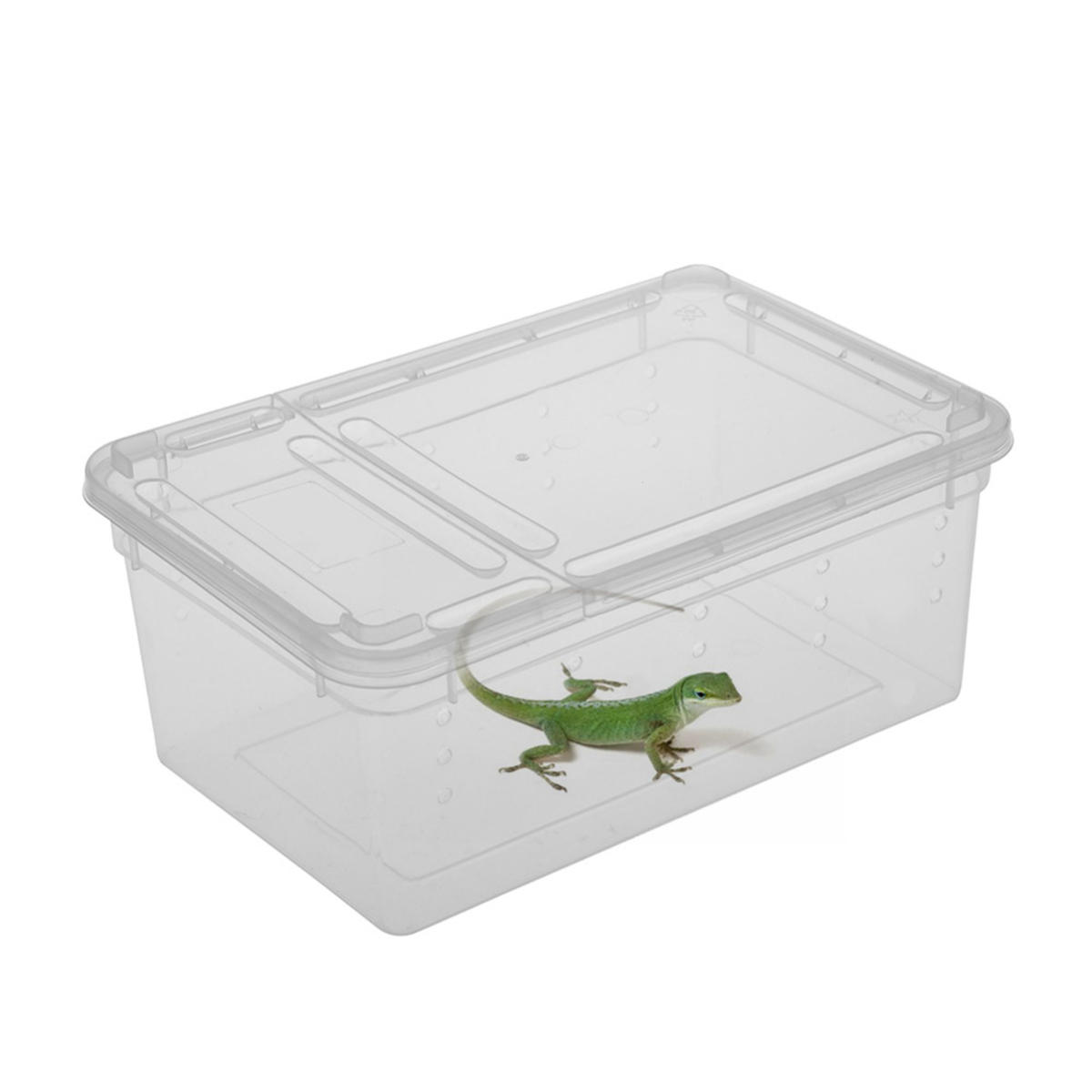Transparent Plastic Box Insect Reptile Transport Breeding Live